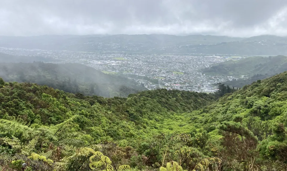 Soil Bureau, Wellington