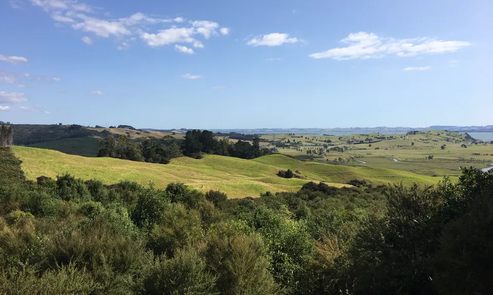 Right on Cue, Auckland