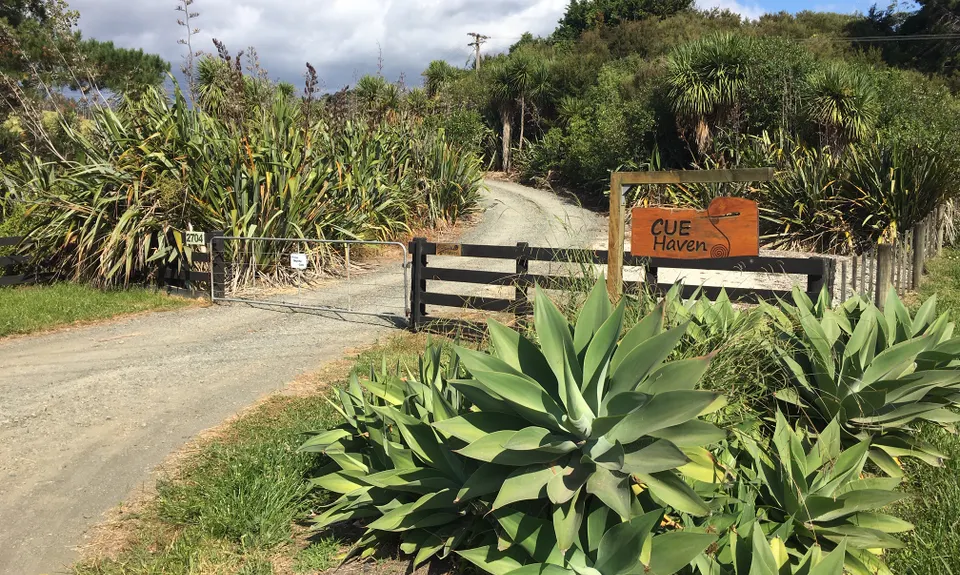 Right on Cue, Auckland