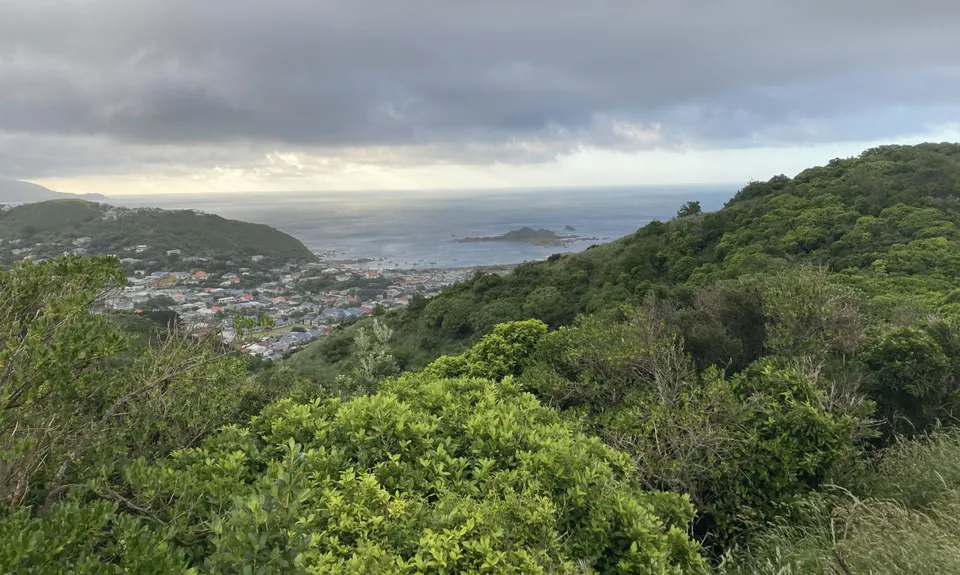 Tawatawa Trails, Wellington