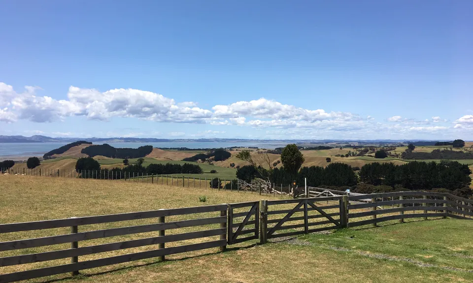 Te Rau Puriri Regional Park, Auckland