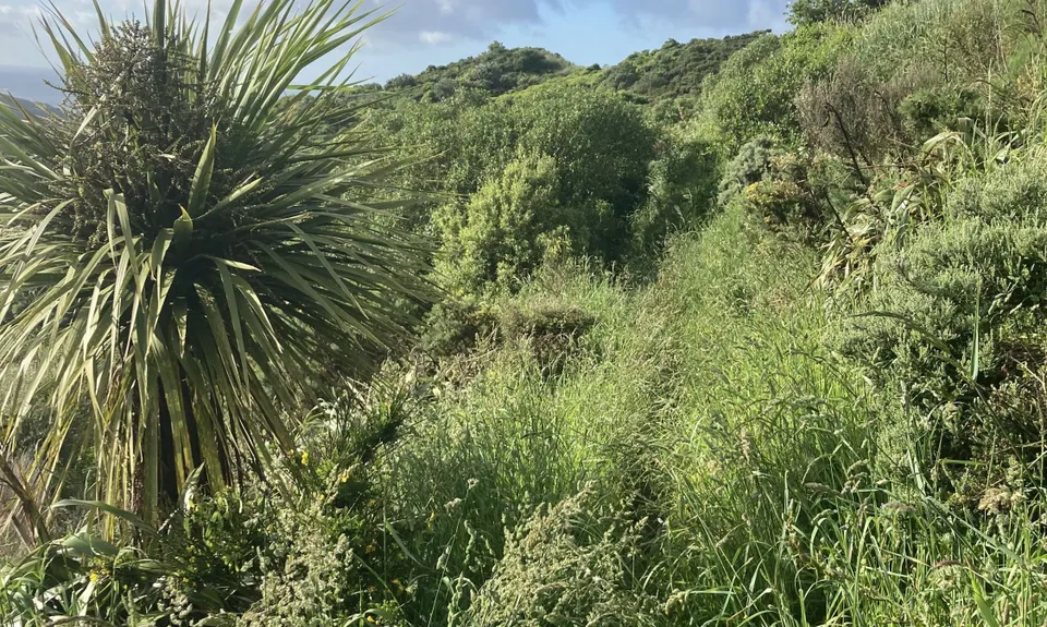 Tawatawa Trails, Wellington