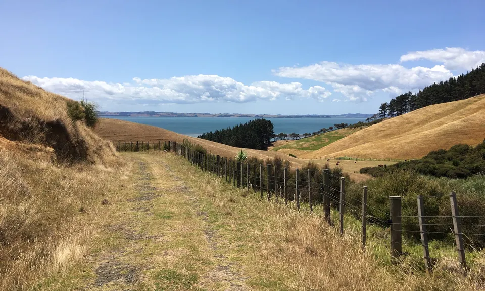 Te Rau Puriri Regional Park, Auckland