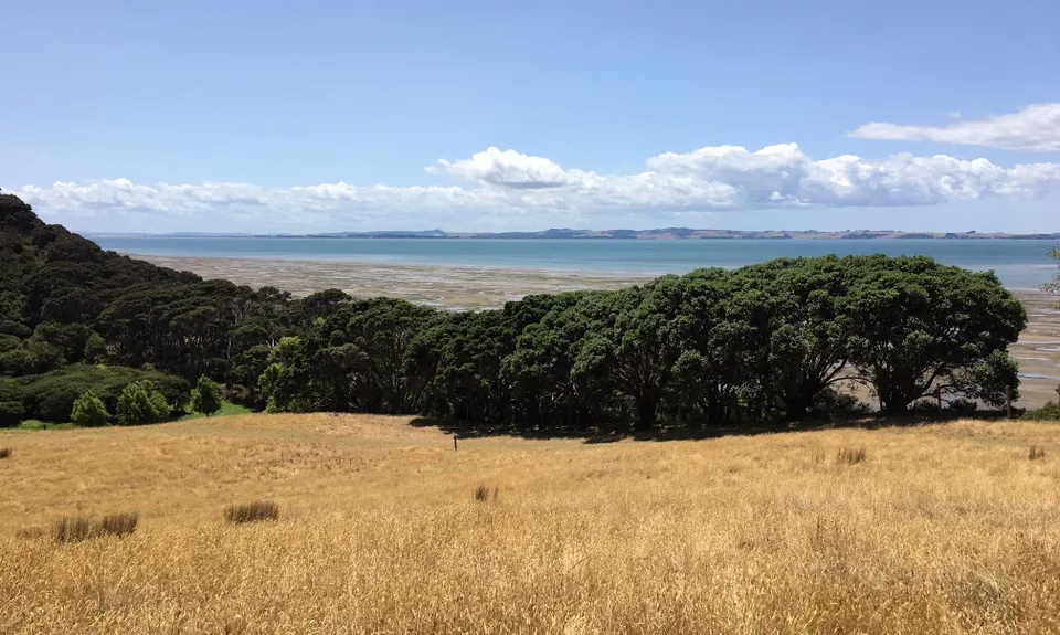 Te Rau Puriri Regional Park, Auckland