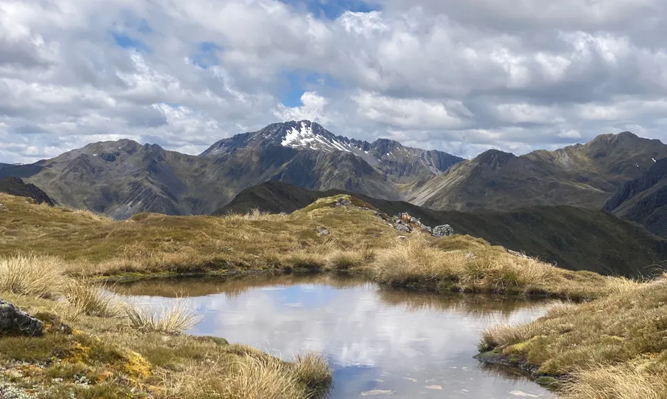 Lewis Tops, West Coast