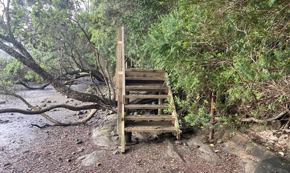 Hobson Bay Loopity, Auckland