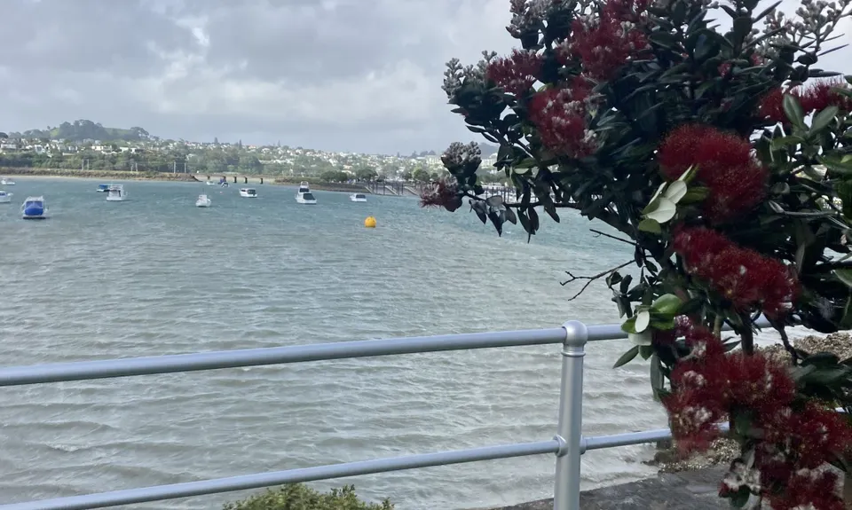 Hobson Bay Loopity, Auckland
