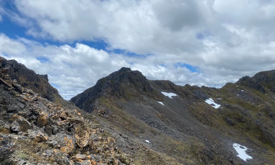 Lewis Tops, West Coast