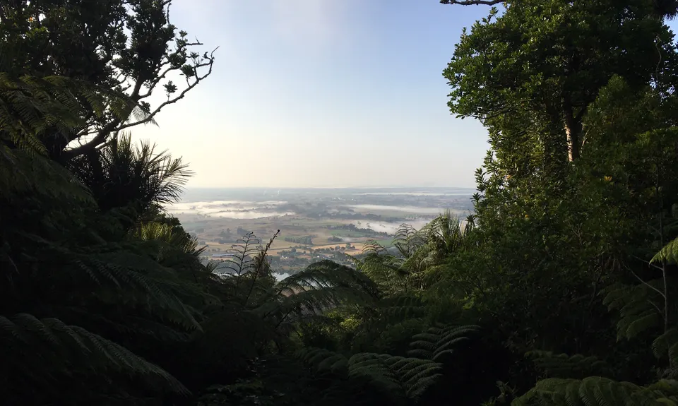 Hakarimata, Brownlee Ave Loop., Waikato