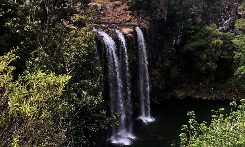 Waterfalls & Kauri!, Northland