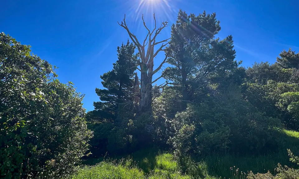 Tauherenikau Gorge Track, Wellington