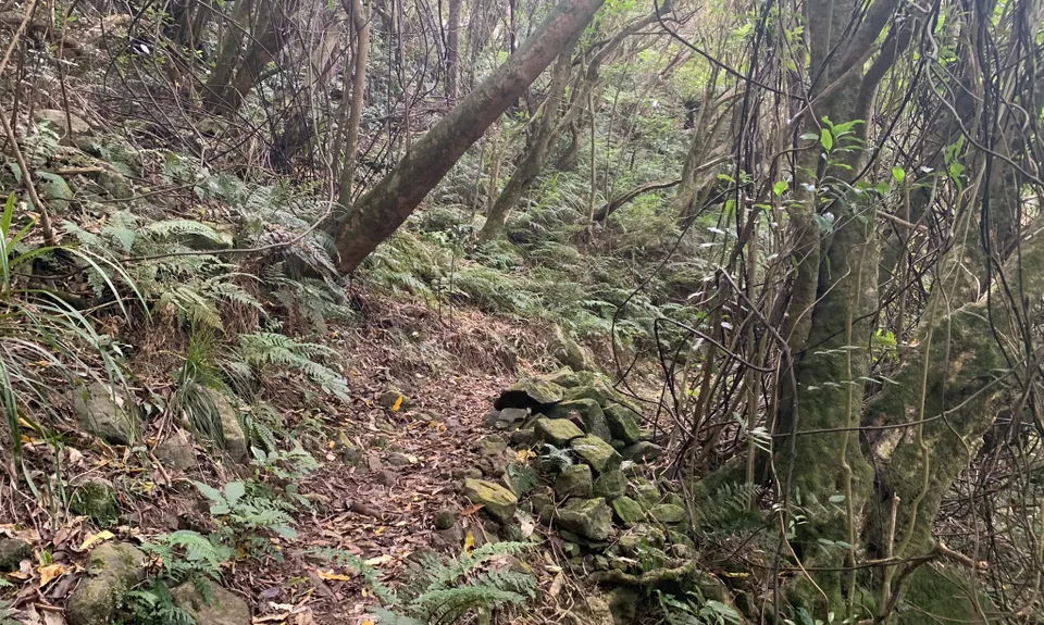 Port Hills 8-Attack, Canterbury