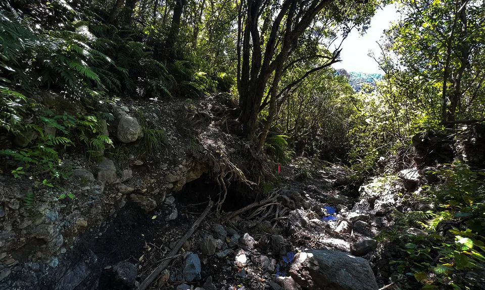Tauherenikau Gorge Track, Wellington