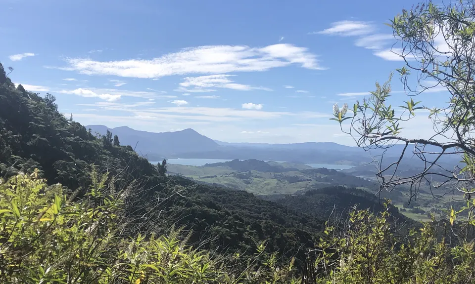 6 Foot Track - NZ Style, Northland
