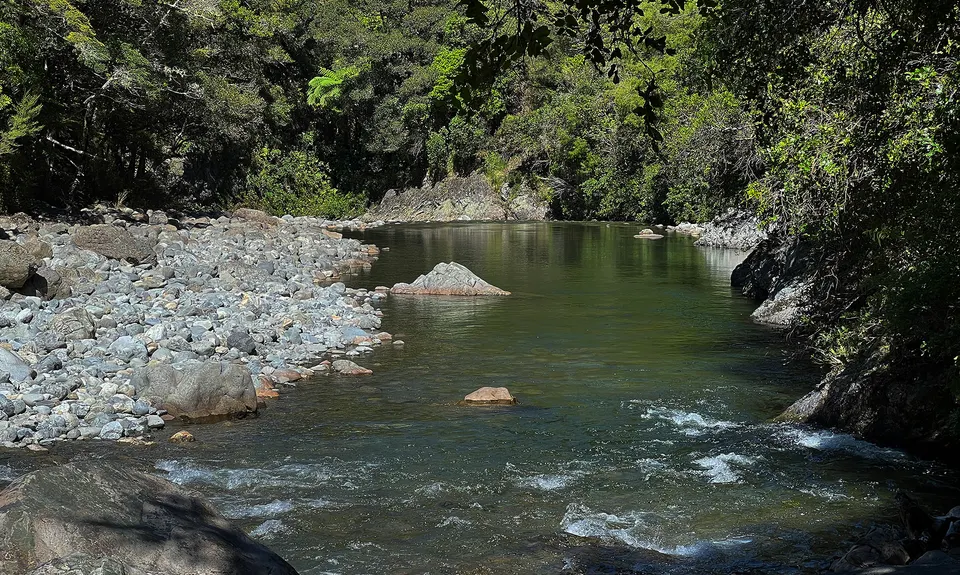 Tauherenikau Gorge Track, Wellington