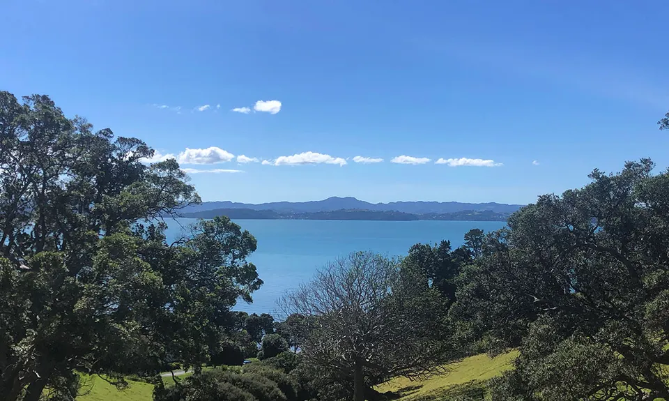 All the Trails at Scandrett, Auckland