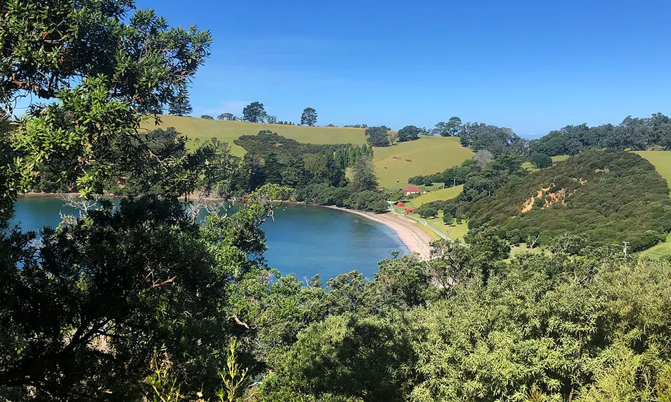 All the Trails at Scandrett, Auckland