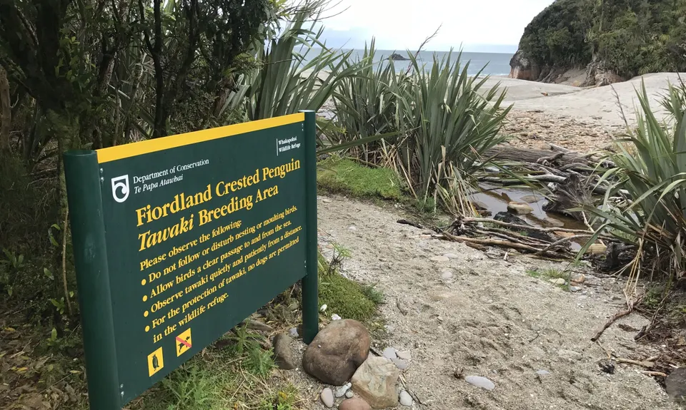 Monro Beach Track, West Coast