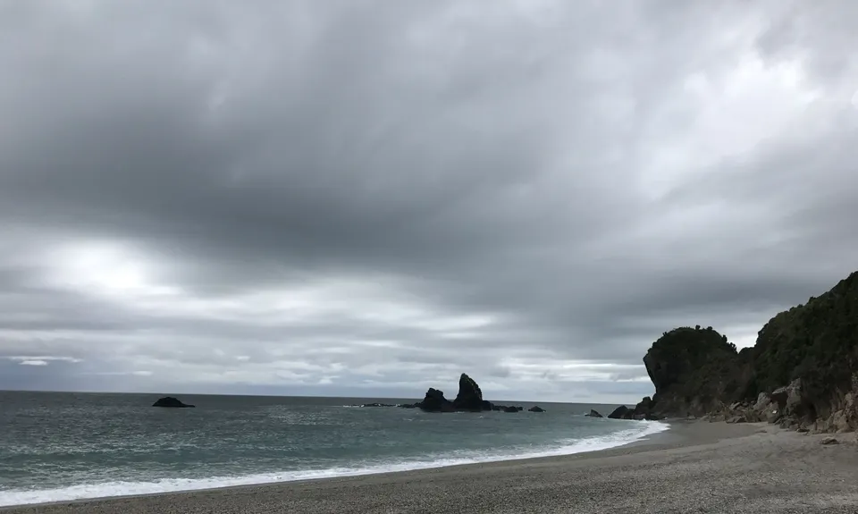 Monro Beach Track, West Coast