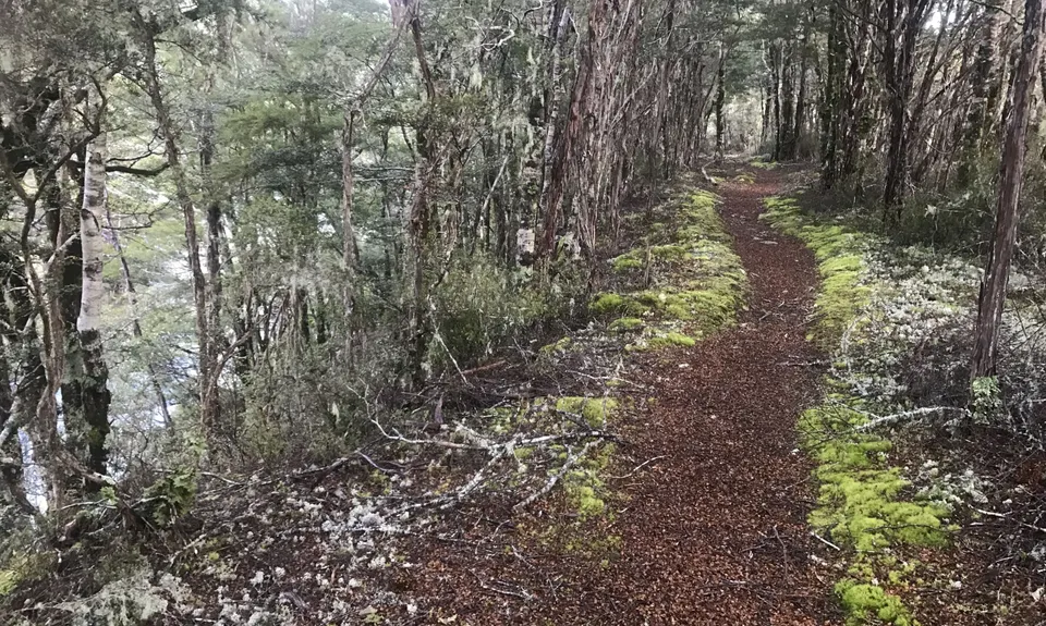 St Arnaud Sampler, Tasman