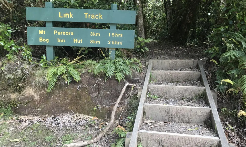 Pureora Double, Manawatu - Wanganui