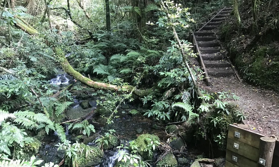 Pureora Double, Manawatu - Wanganui