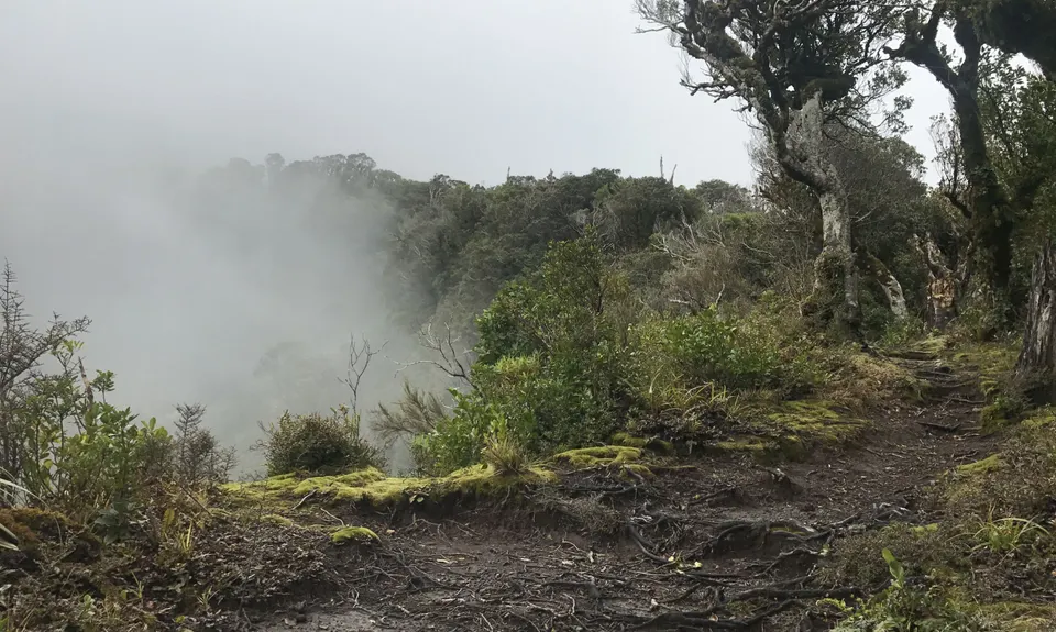 Lake Dive Circuit, Taranaki