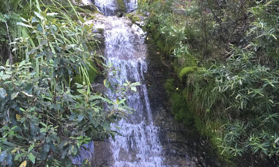 Lake Chalice loop, Marlborough