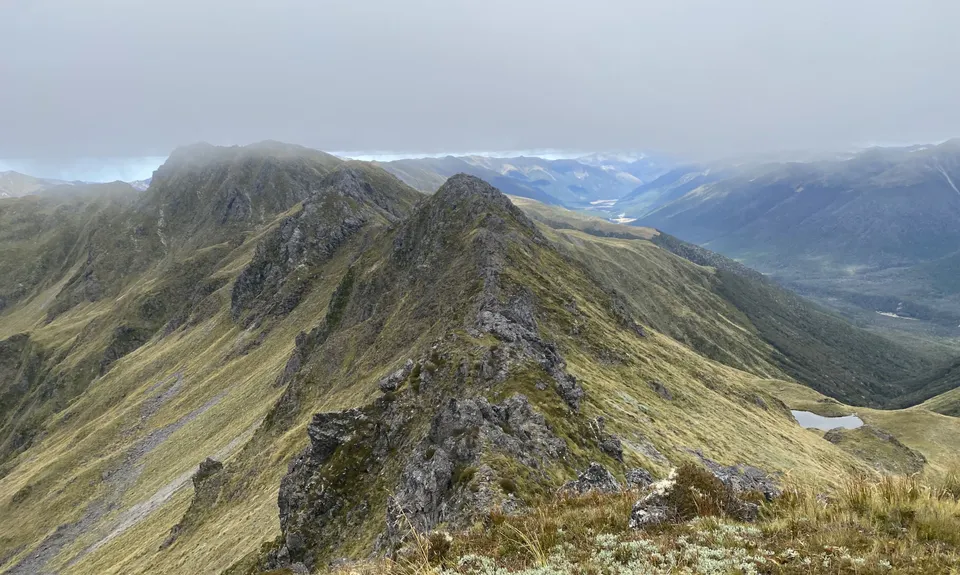 Zampa Traverse, Canterbury