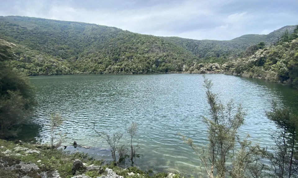 A Full Chalice, Marlborough