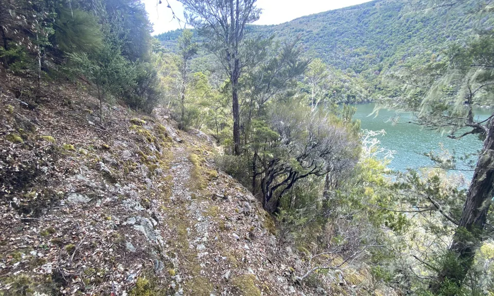 A Full Chalice, Marlborough
