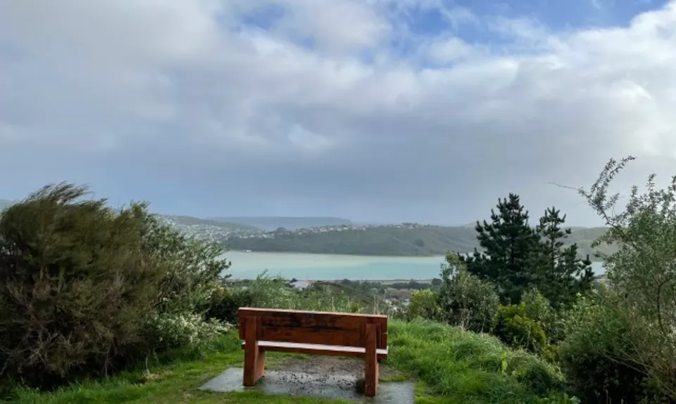 Don't rush to a Conclusion, Wellington