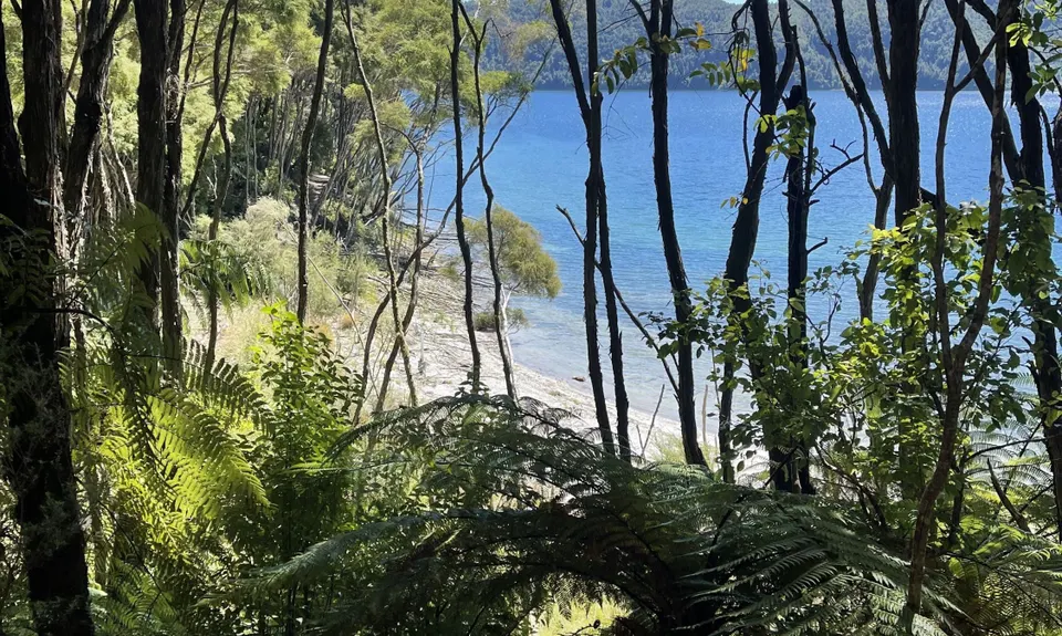 Eastern Okataina Walkway to Tarawera Falls, Bay of Plenty