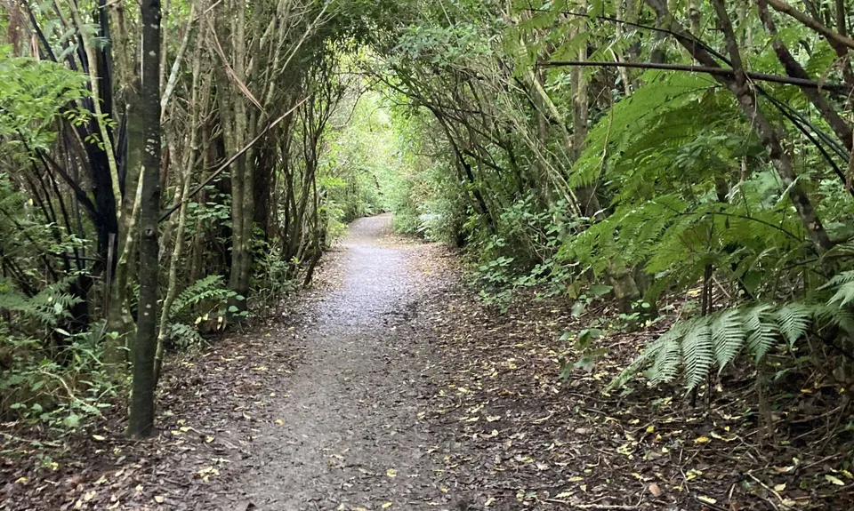 Linking the Reserves, Wellington