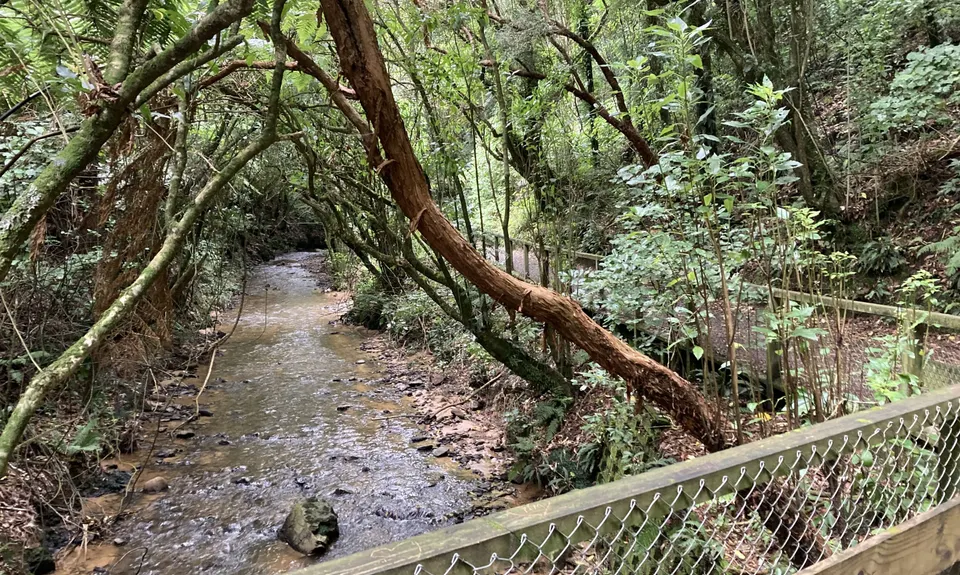 Linking the Reserves, Wellington