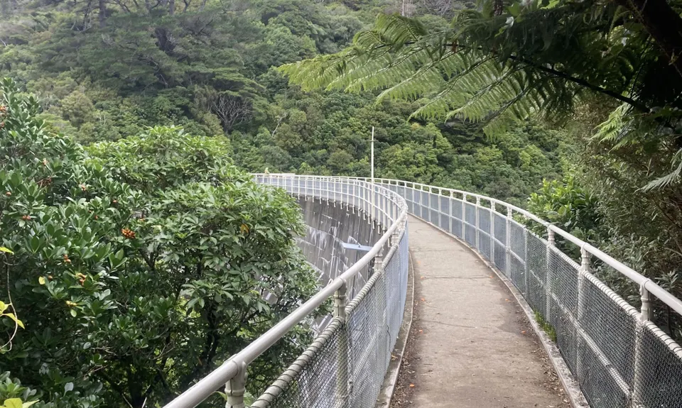Seeking Sanctuary, Wellington