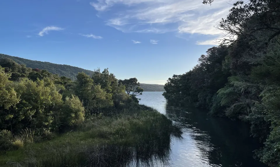 Eastern Okataina Walkway to Tarawera Falls, Bay of Plenty