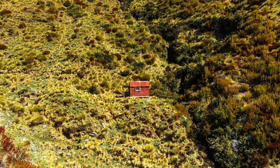 The Royal Richardson Traverse, Otago