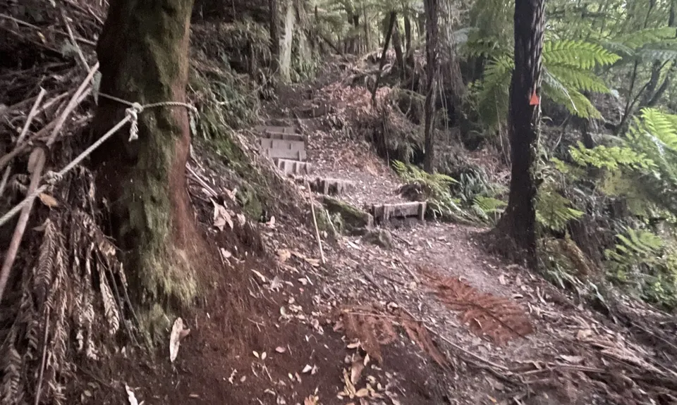 Eastern Okataina Walkway to Tarawera Falls, Bay of Plenty