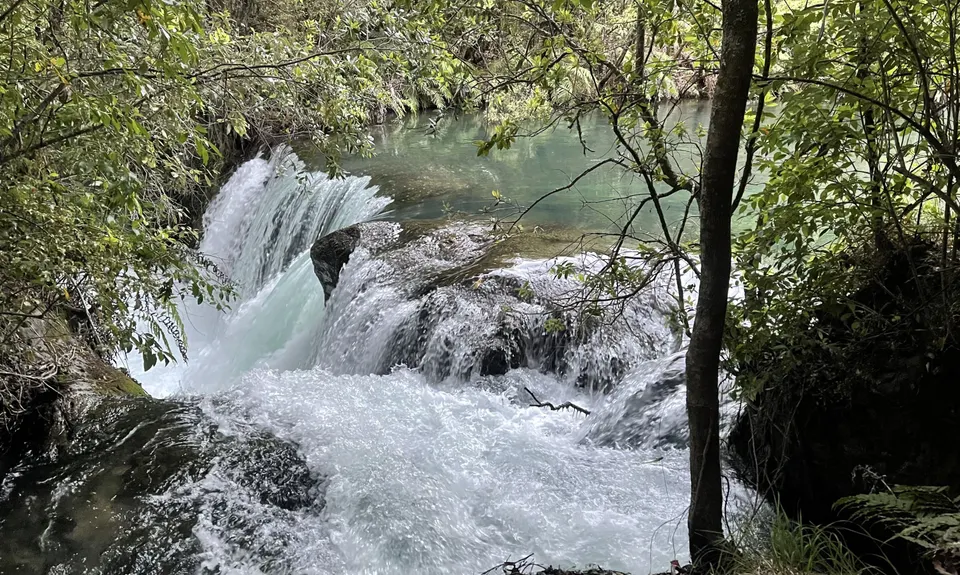 Eastern Okataina Walkway to Tarawera Falls, Bay of Plenty