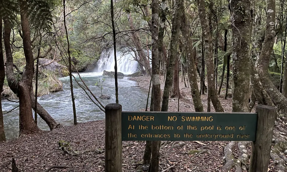 Eastern Okataina Walkway to Tarawera Falls, Bay of Plenty