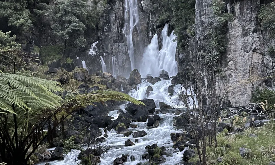 Eastern Okataina Walkway to Tarawera Falls, Bay of Plenty