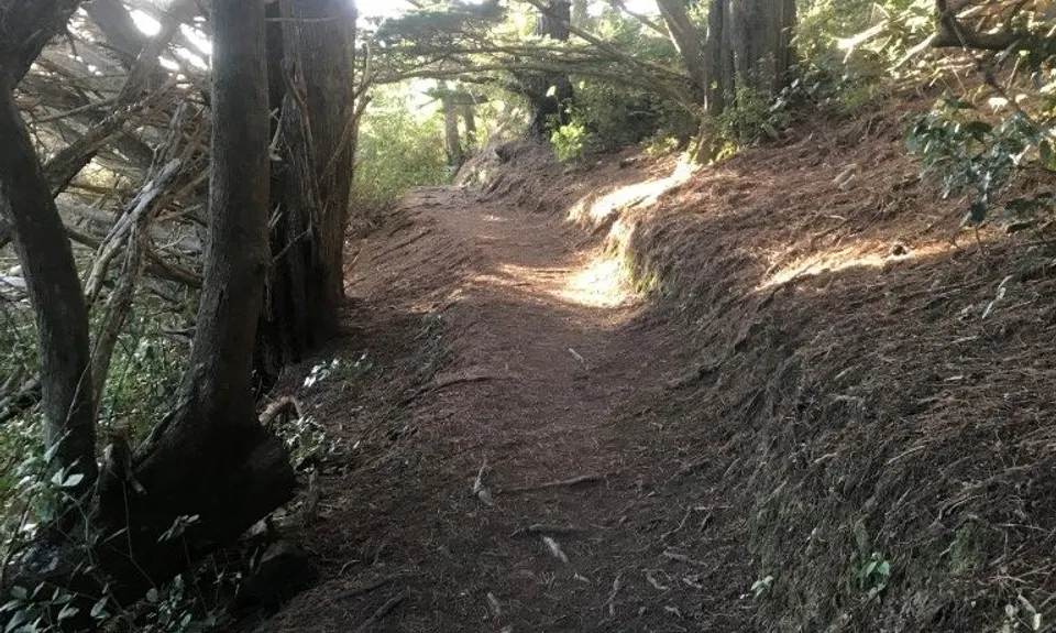 Park 2 Peak 2 Park, Wellington