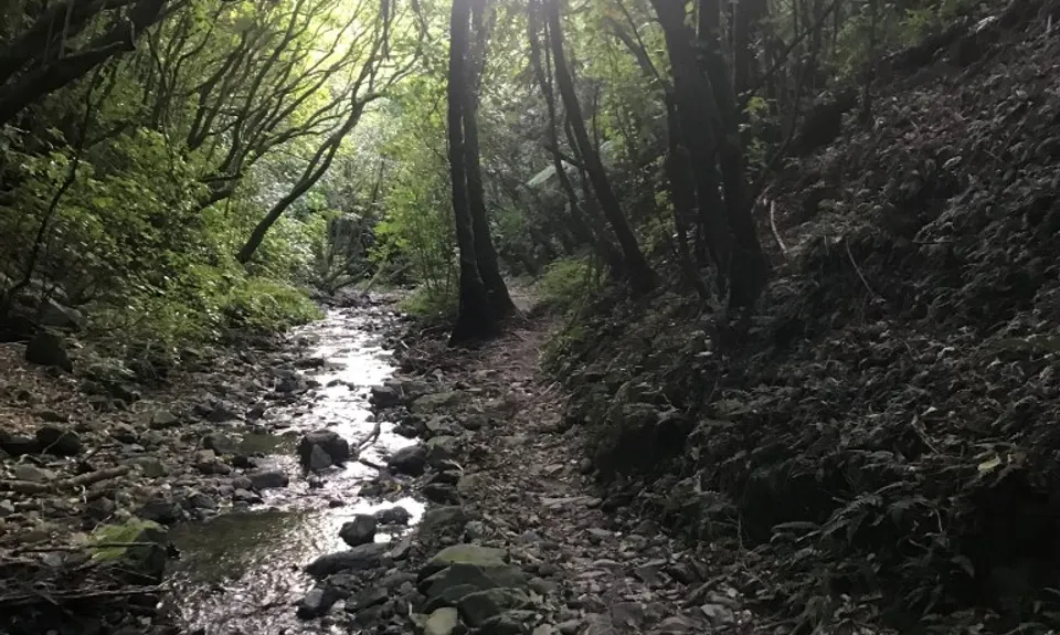 Biblical, Wellington