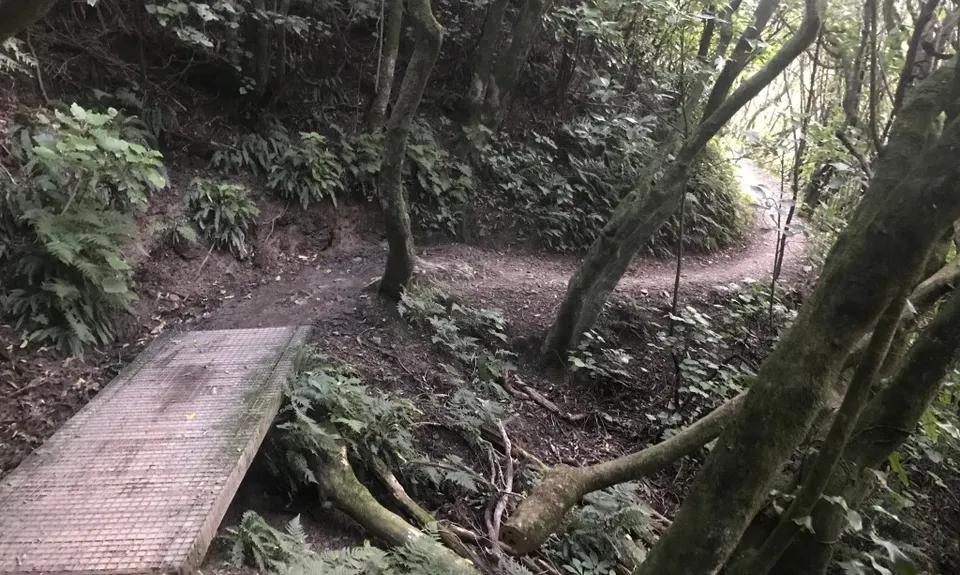 Biblical, Wellington