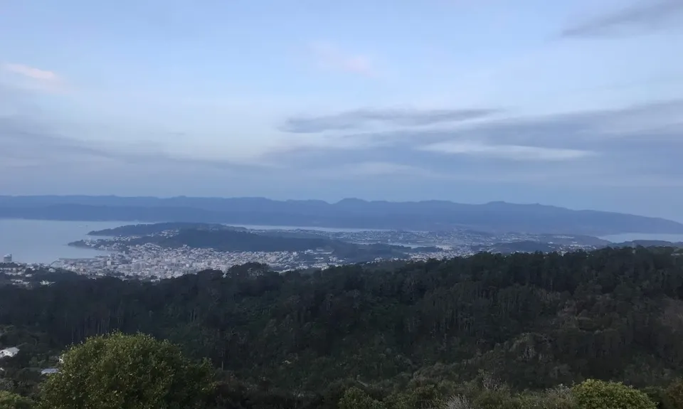 Biblical, Wellington