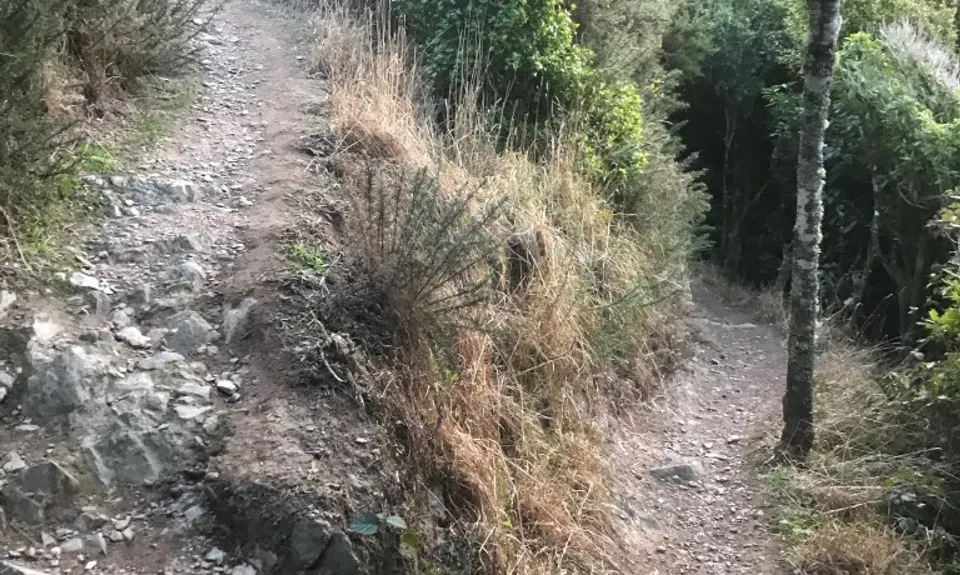 Biblical, Wellington