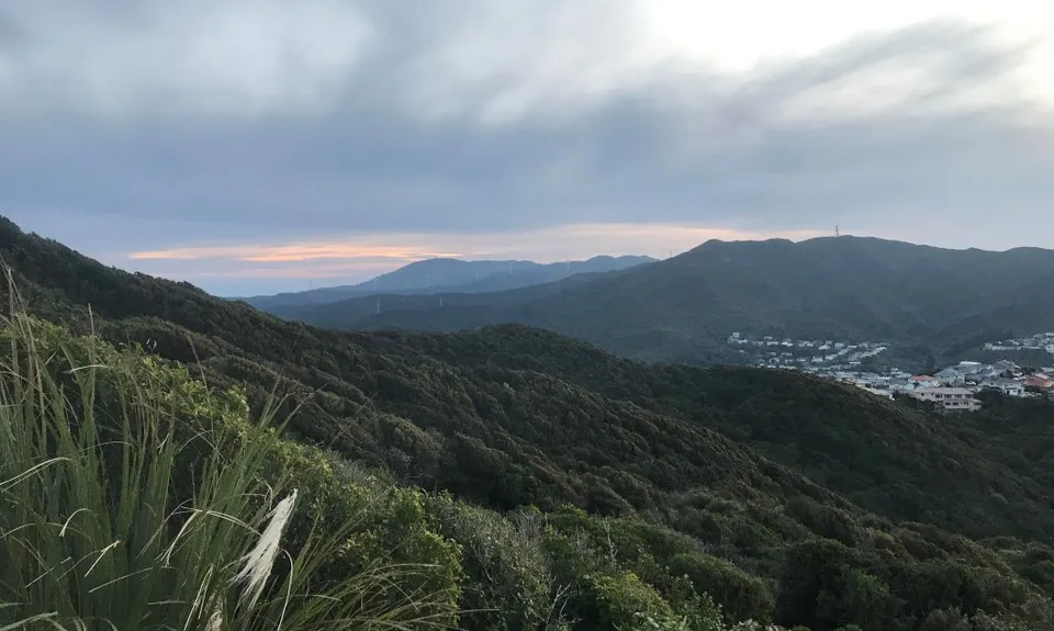 Biblical, Wellington