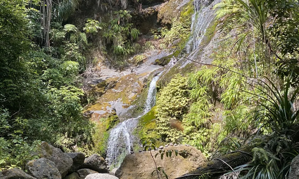 Hauturu High Point - East, Northland