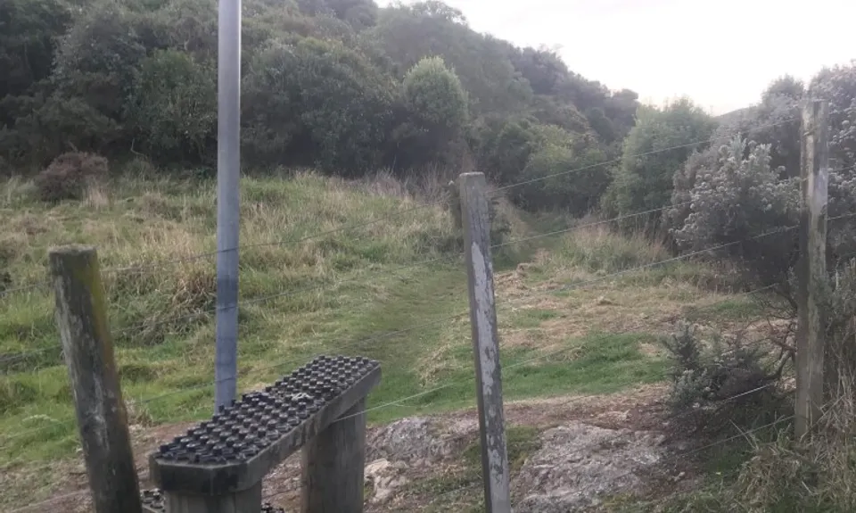 Graveyard Shift, Wellington